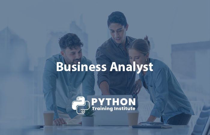 Business Analyst Course Image